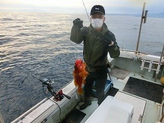 アコウ の釣果 年9月16日 海釣り大好き 鳥取 酒ノ津西波止 釣割