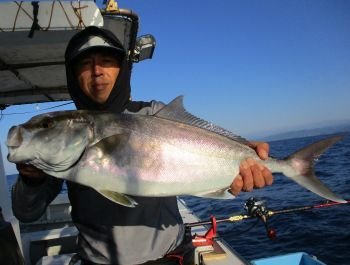 ネイリ の釣果 年9月21日 浜田釣舟 高知 安芸漁港 釣割