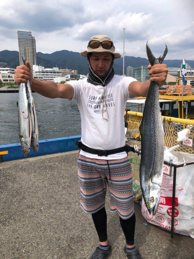 サワラcm の釣果 年9月21日 神戸渡船 兵庫 神戸港 釣割