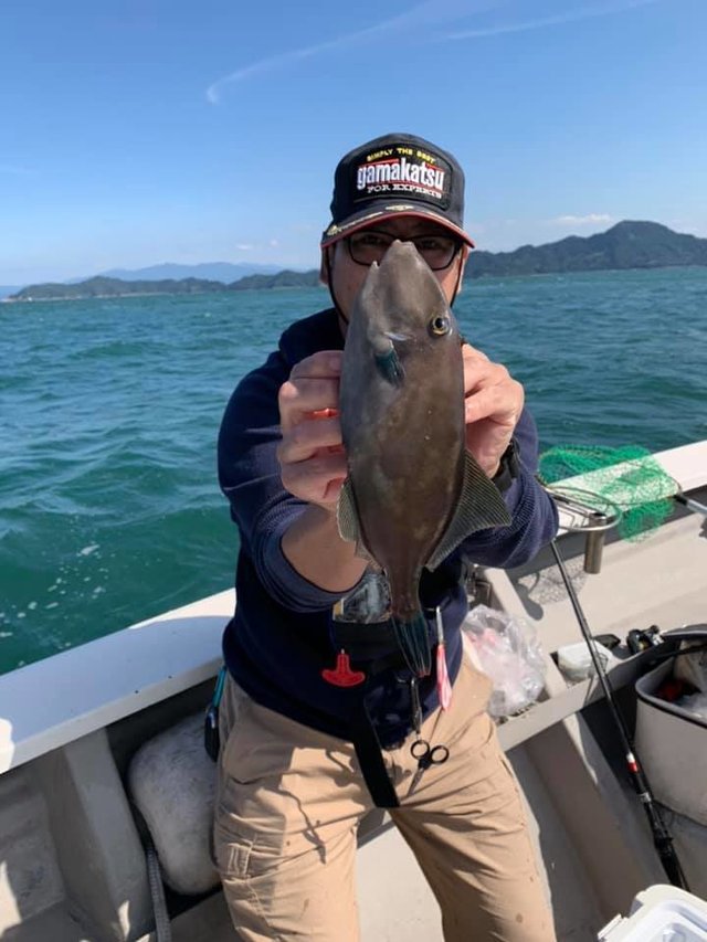 ウマヅラハギ の釣果 年9月21日 船井丸 広島 丹那漁港 釣り船予約 釣割