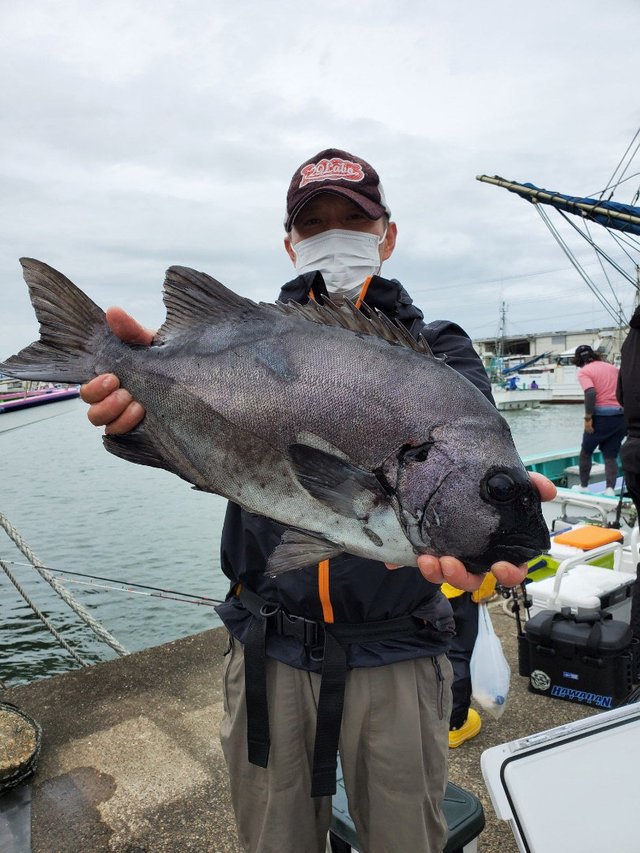 マダイ0 80kg 5匹 の釣果 年9月27日 富士丸 千葉 大原港 釣り船予約 釣割