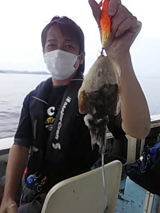 アオリイカ23cm 6匹 の釣果 年10月3日 知々丸 兵庫 姫路港野田川沿い 釣り船予約 釣割