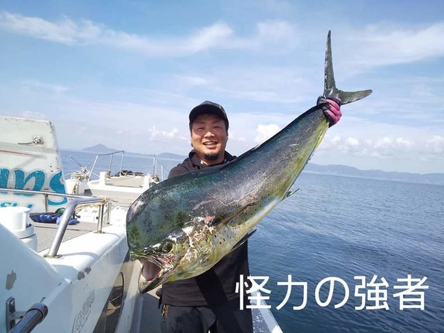 シイラ1cm の釣果 年10月5日 三平丸 長崎 相浦港 釣割