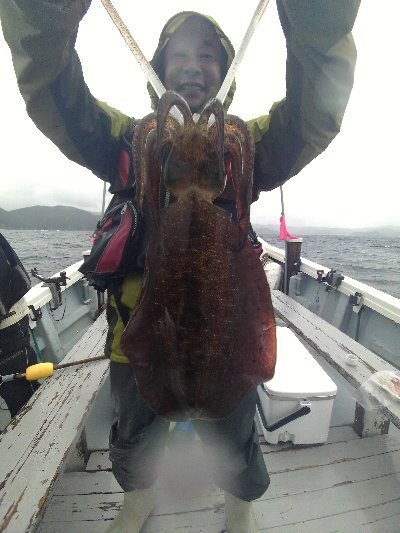 アオリイカ0 60kg 3匹 の釣果 年10月17日 松竹丸 徳島 日和佐港 釣り船予約 釣割