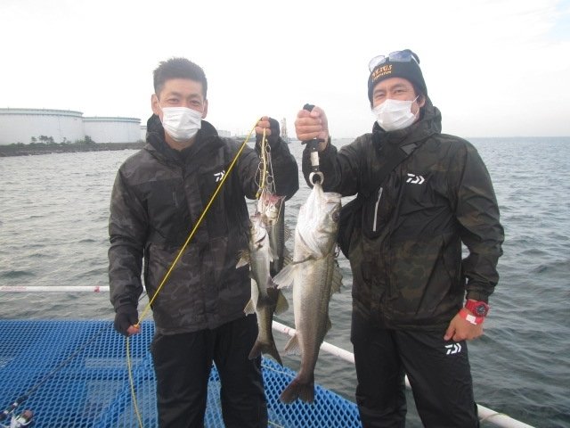 アジ23cm 235匹 の釣果 年10月日 オリジナルメーカー海づり公園 千葉 千葉港 釣割