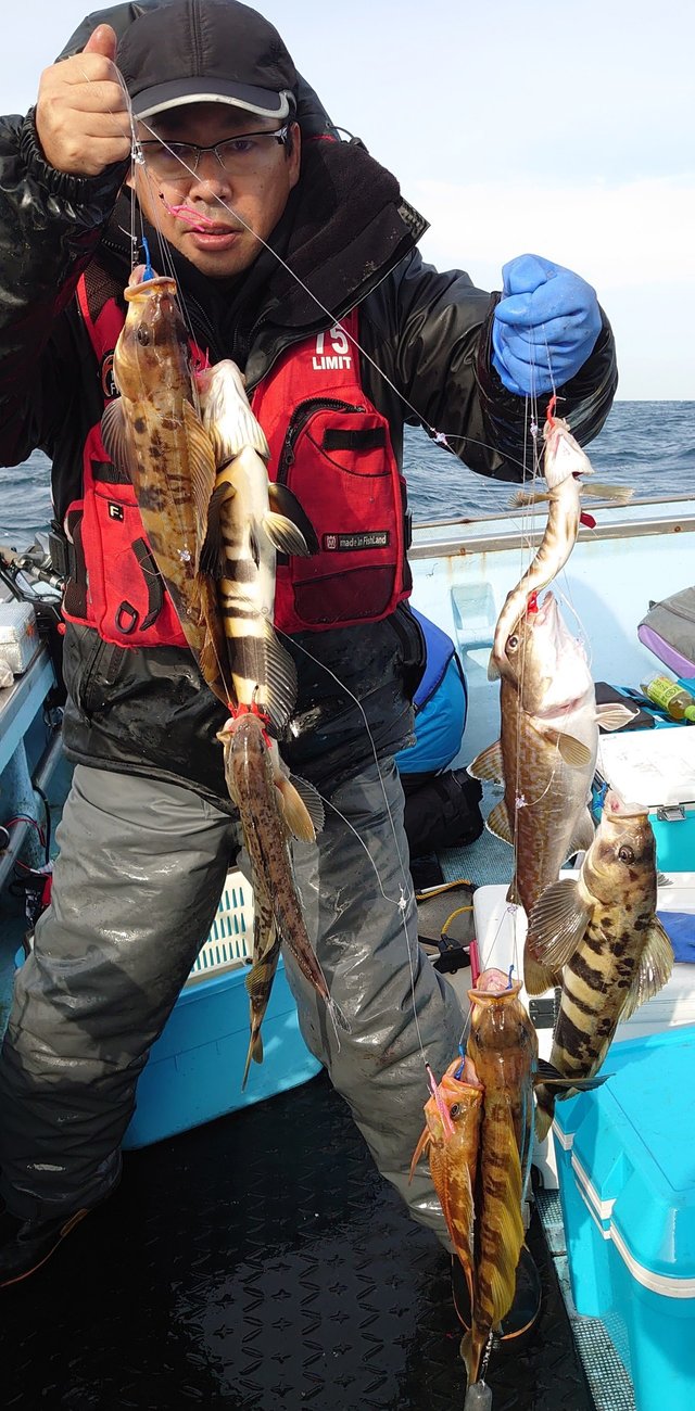 ホッケ の釣果 年10月22日 第新生丸 北海道 釣割