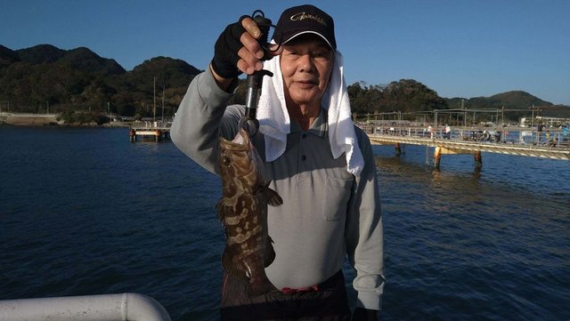 クエ35cm 1匹 の釣果 年10月26日 福岡市海づり公園 福岡 その他 釣割