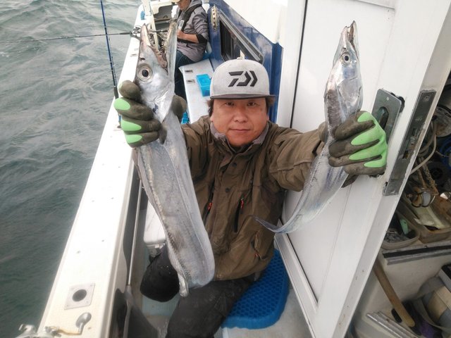 タチウオ 36匹 の釣果 年11月8日 岡安丸 愛知 神島 釣割