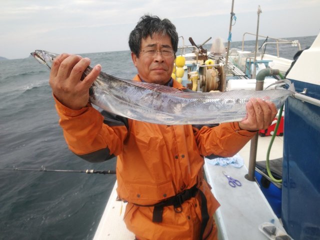 タチウオ 36匹 の釣果 年11月8日 岡安丸 愛知 神島 釣割