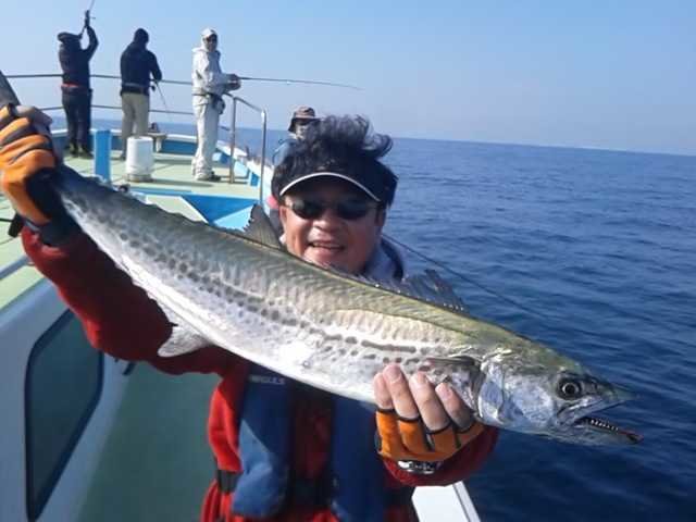 サゴシ1 10kg の釣果 年11月18日 船宿 さわ浦 東京 小名木川沿い 釣り船予約 釣割