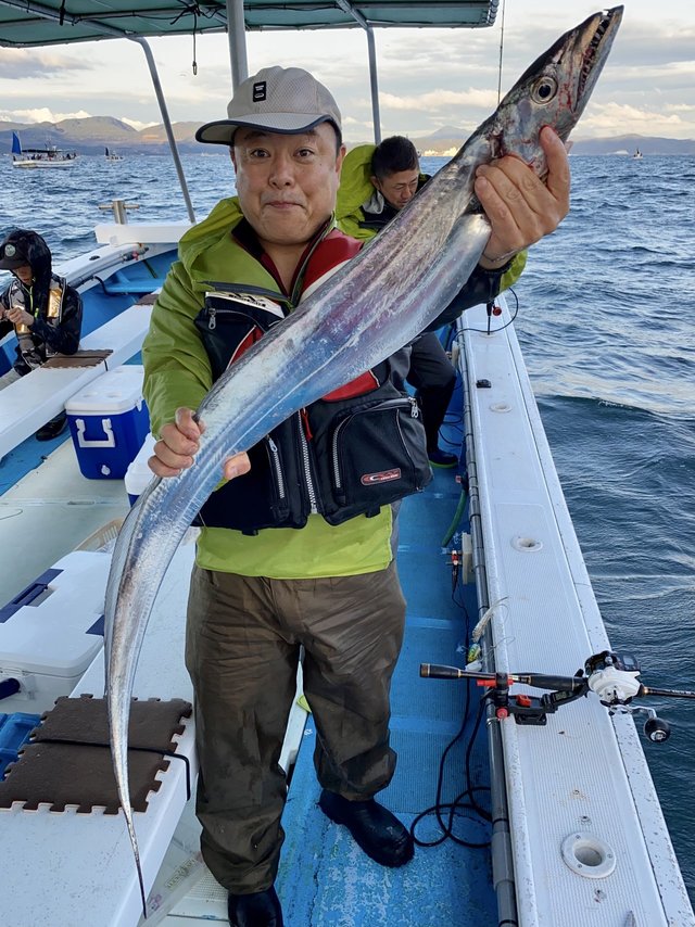 タチウオ125cm 42匹 の釣果 年11月23日 春日丸 大阪 谷川港 釣り船予約 釣割