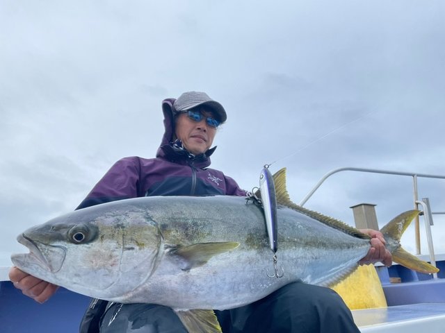 ヒラマサ の釣果 年11月24日 新勝丸 千葉 川津港 船釣り予約 キャスティング船釣り予約