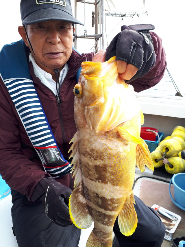 アオナ50cm 23匹 の釣果 年11月25日 金生丸 福岡 鐘崎港 釣り船予約 釣割