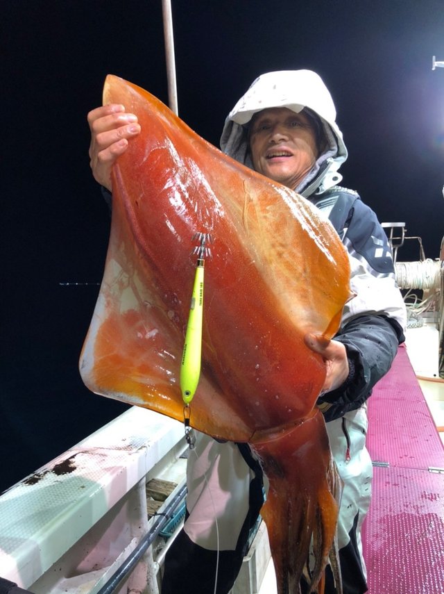 タルイカ の釣果 年12月2日 海生丸 福井 釣割