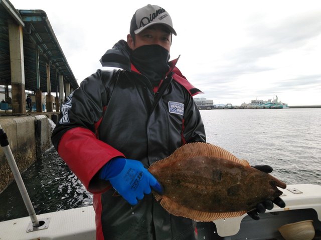 ヒラメ62cm 5匹 の釣果 年12月2日 岡安丸 愛知 神島 釣割