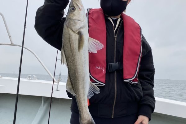 シーバス60cm の釣果 年12月3日 けやき丸 埼玉 荒川笹目橋上流 釣り船予約 釣割