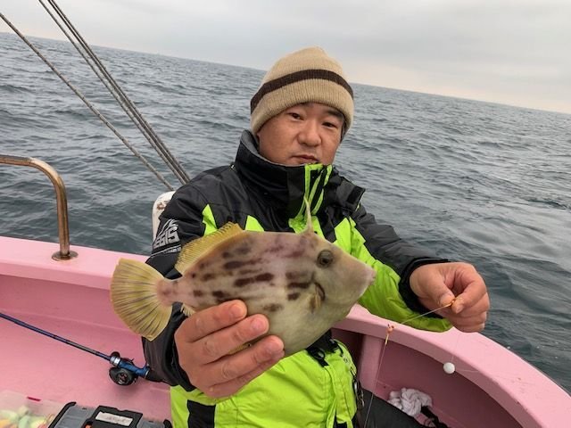 カワハギ 16匹 の釣果 年12月3日 山下丸 神奈川 久比里港 釣割