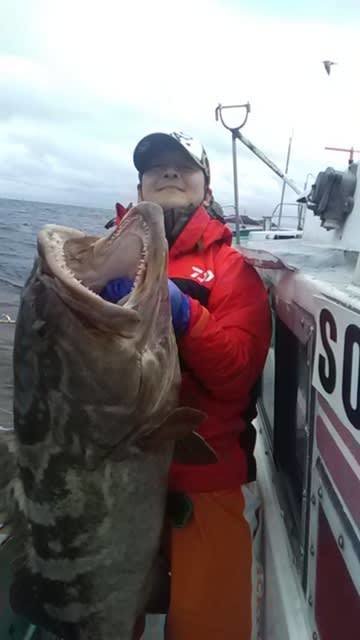 モロコ22 80kg の釣果 年12月5日 敬昇丸 静岡 釣割