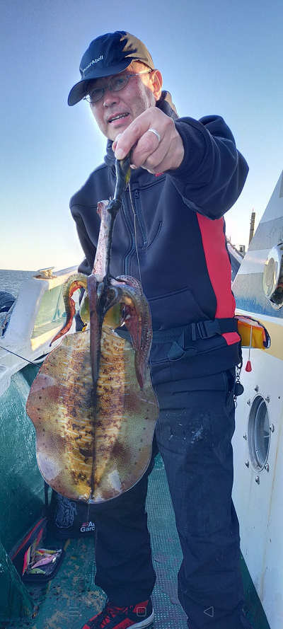 アオリイカ の釣果 年12月6日 ちさと丸 高知 赤岡漁港 釣り船予約 釣割