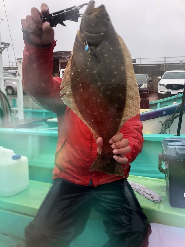 ヒラメ1 70kg 10匹 の釣果 年12月10日 植田丸 茨城 鹿嶋旧港 船釣り予約 キャスティング船釣り予約