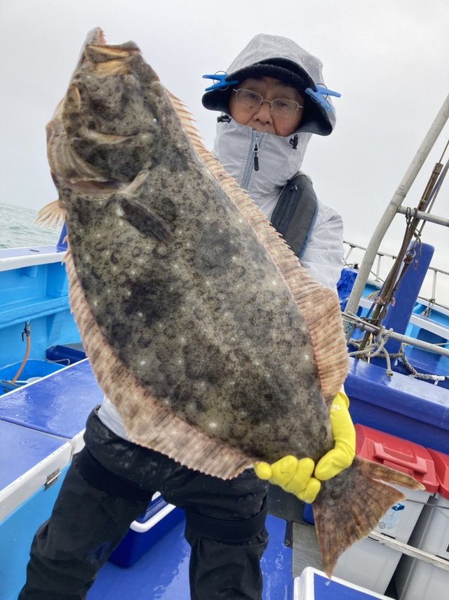 ヒラメ3 61kg 6匹 の釣果 年12月10日 第三松栄丸 千葉 大原港 釣り船予約 釣割