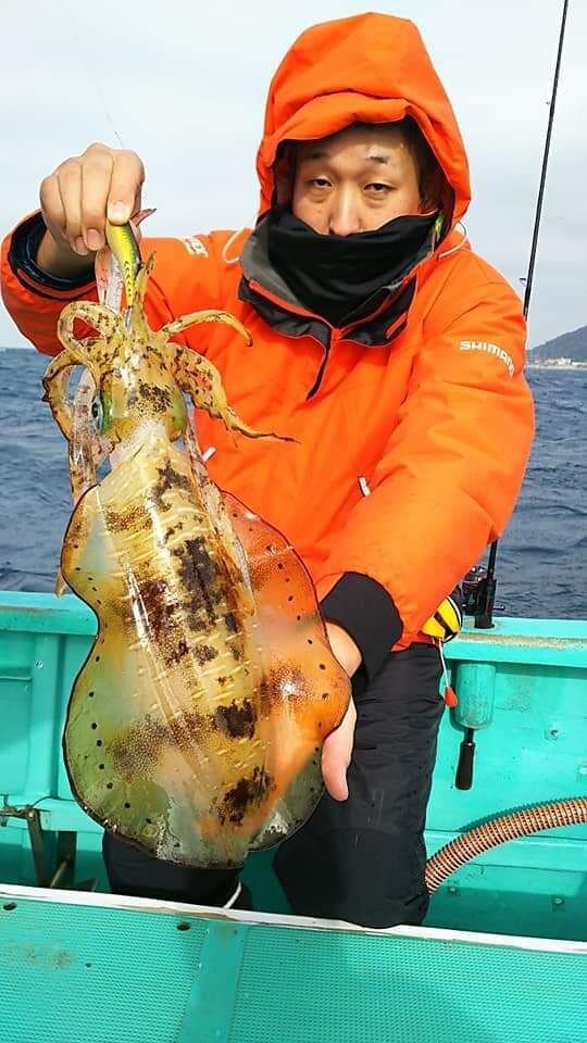 アオリイカ1 00kg 3匹 の釣果 年12月10日 輝栄丸 千葉 釣割