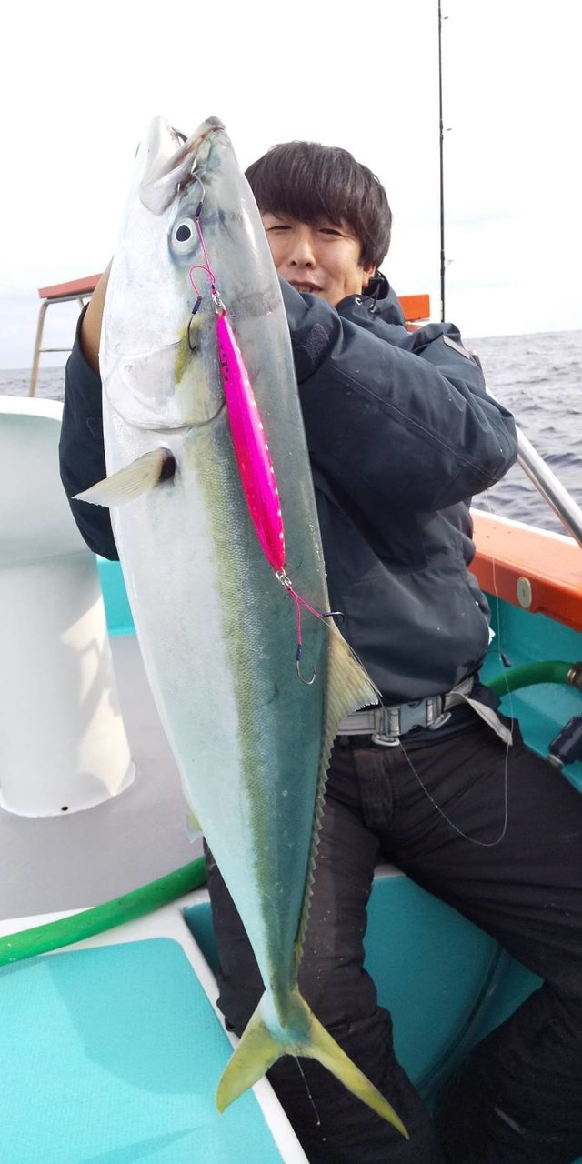 ヒラマサ5 37kg の釣果 年12月13日 丸天丸 茨城 波崎港 釣割