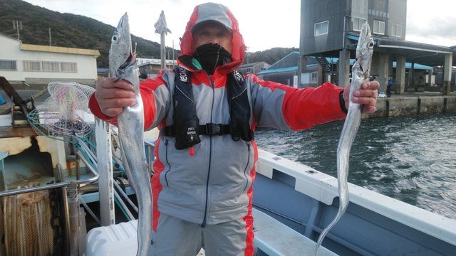 タチウオ 11匹 の釣果 年12月日 岡安丸 愛知 神島 釣割