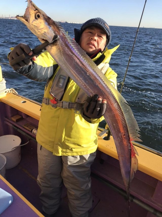 タチウオ128cm 33匹 の釣果 年12月日 つり幸 神奈川 釣割