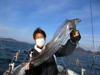 タチウオ の釣果 年12月日 Zeel 広島 大門港 釣割