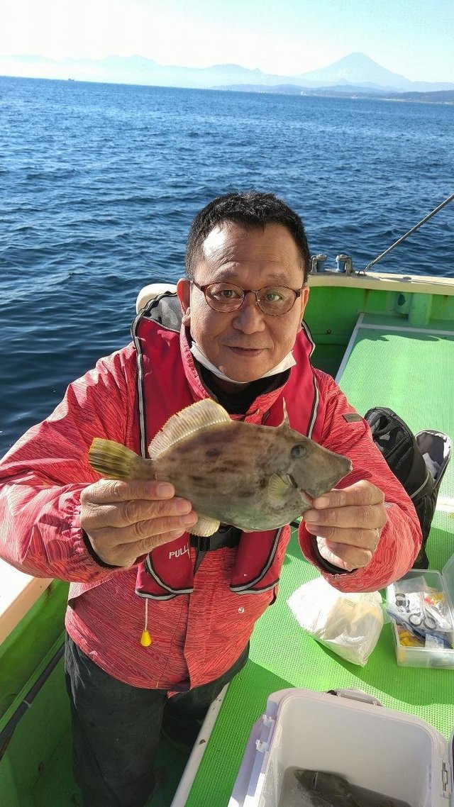 カワハギ28cm 11匹 の釣果 年12月23日 まごうの丸 神奈川 茅ヶ崎港 釣割