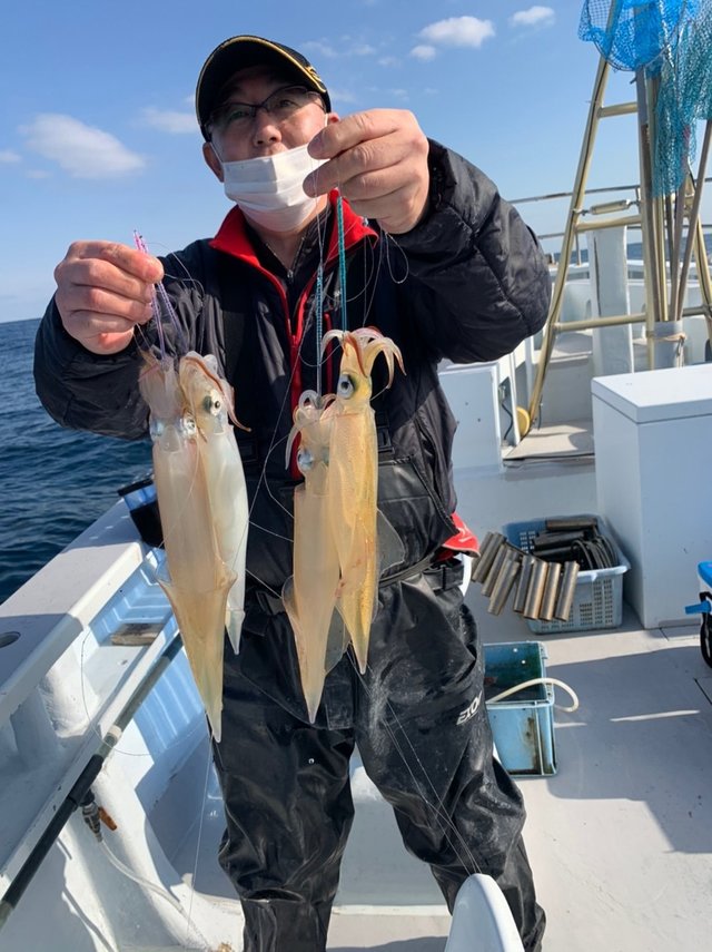 ヤリイカ 25匹 の釣果 年12月27日 松大丸 千葉 白間津港 釣り船予約 釣割