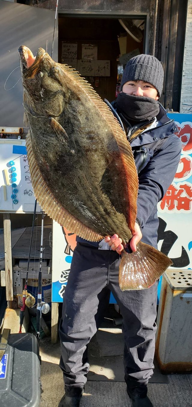 ヒラメ5 80kg 3匹 の釣果 年12月31日 植田丸 茨城 釣割