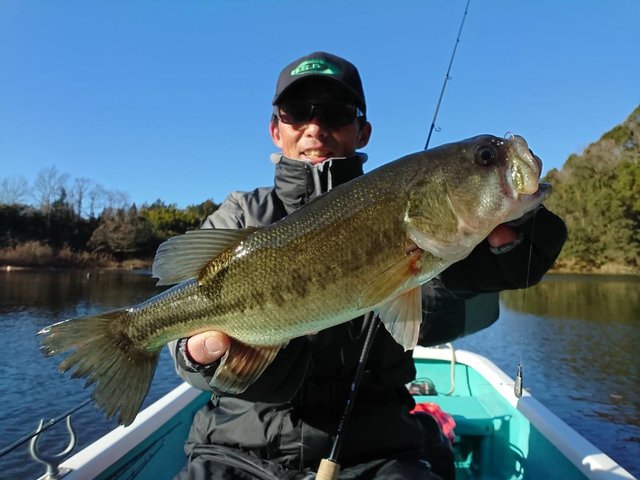 ブラックバス35cm 3匹 の釣果 21年1月1日 ともえ 千葉 釣割