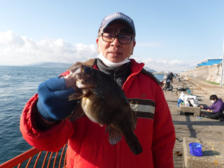 メバル25cm 1匹 の釣果 21年1月2日 神戸市立平磯海づり公園 兵庫 平磯 釣割