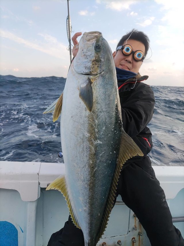 ヒラマサ14 50kg 1匹 の釣果 21年1月6日 恵丸 静岡 キャスティング船釣り予約