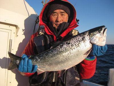 サクラマス3 kg 10匹 の釣果 21年1月10日 征海丸 北海道 苫小牧港 釣割