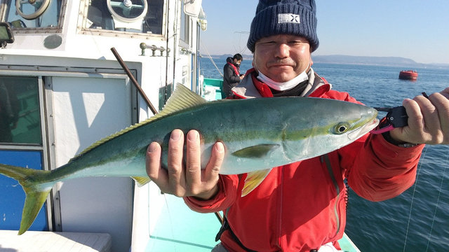 ホウボウ の釣果 21年1月13日 守山釣船店 千葉 釣割