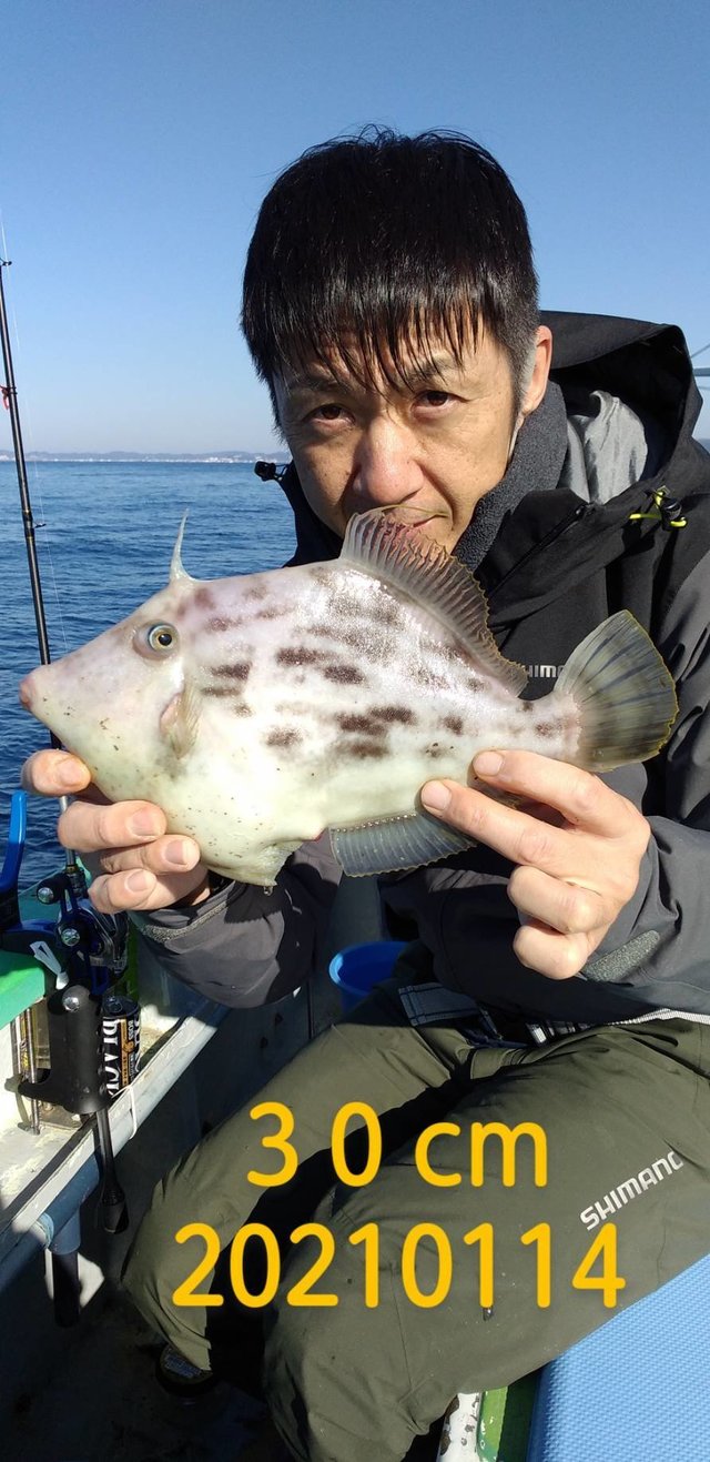 カワハギ30cm 10匹 の釣果 21年1月14日 島きち丸 神奈川 片瀬漁港 釣り船予約 釣割