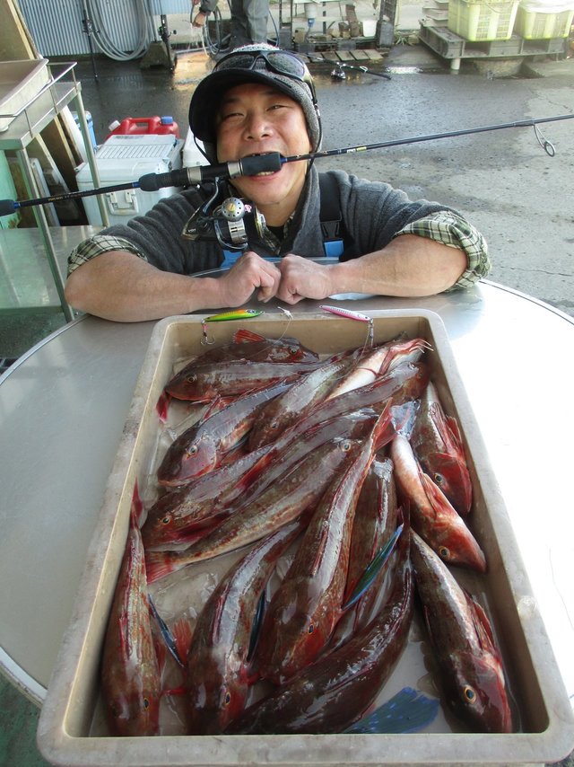 ホウボウ40cm 17匹 の釣果 21年1月14日 庄三郎丸 神奈川 平塚港 釣割