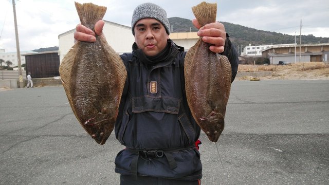 ヒラメ66cm 3匹 の釣果 21年1月16日 岡安丸 愛知 神島 釣割