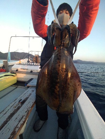 アオリイカ1 50kg 4匹 の釣果 21年1月15日 松竹丸 徳島 日和佐港 釣り船予約 釣割
