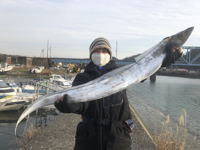 タチウオ110cm 24匹 の釣果 21年1月17日 フィッシュオン大勝 千葉 上総湊港 船釣り予約 キャスティング船釣り予約