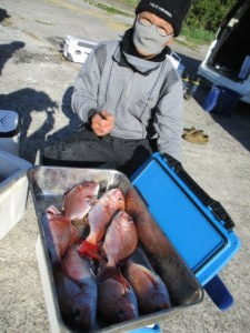 マダイ1 30kg 7匹 の釣果 21年1月19日 浜福丸 神奈川 釣割