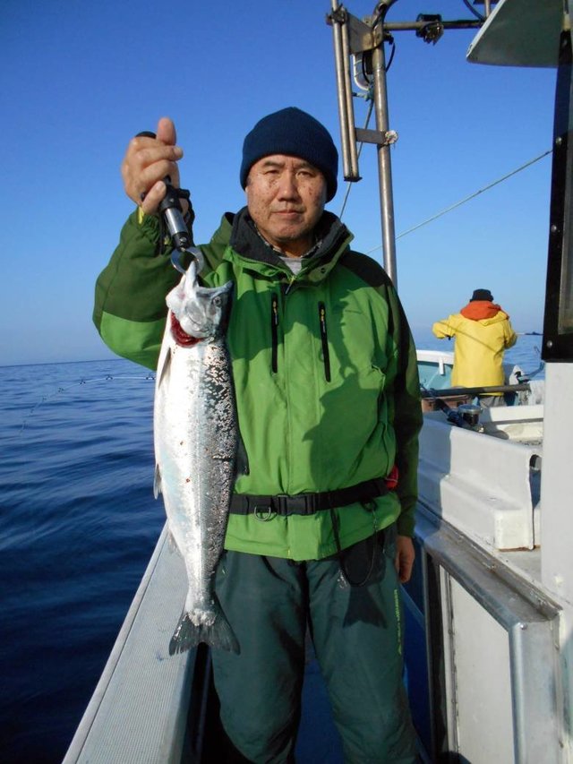 サクラマス 10匹 の釣果 21年1月25日 勝洋丸 北海道 苫小牧西港 釣割