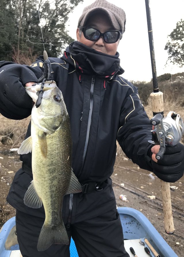 ブラックバス35cm 1匹 の釣果 21年1月29日 Fコテージつばきもと 千葉 釣割