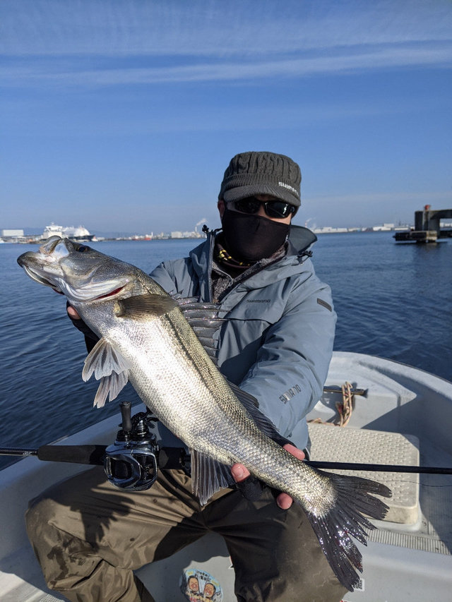 シーバス57cm 2匹 の釣果 21年2月5日 Fujiyama 大阪 大阪マリンターミナル 釣割