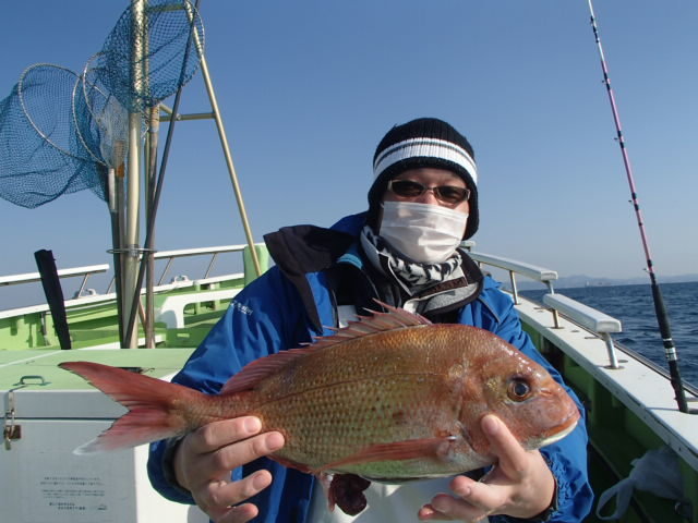 マダイ1 80kg 5匹 の釣果 21年2月7日 浜福丸 神奈川 釣割