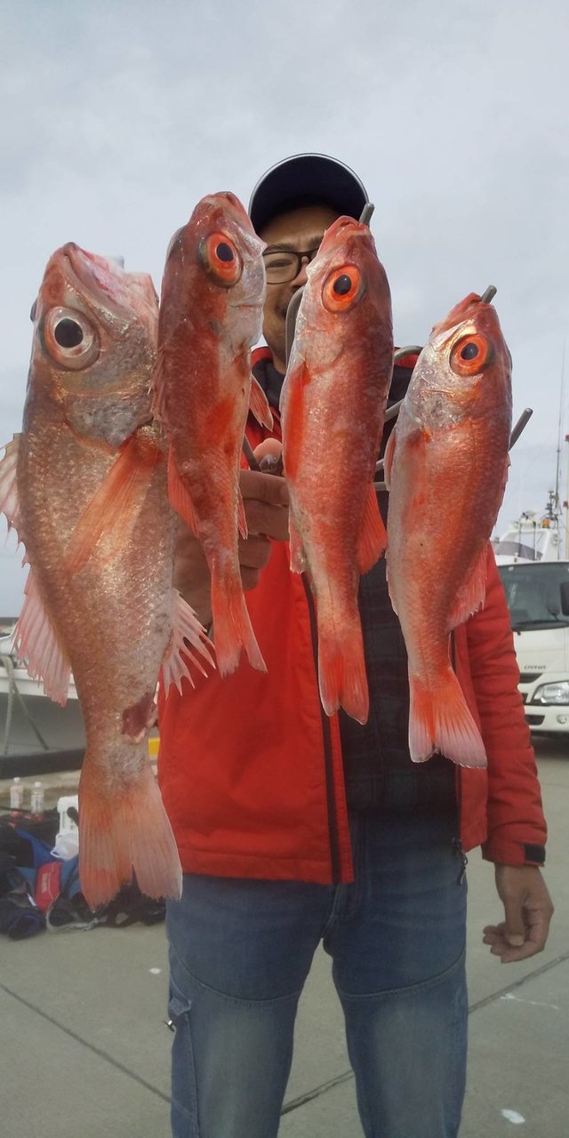 アカムツ40cm の釣果 21年2月12日 丸天丸 茨城 波崎新港 釣り船予約 釣割