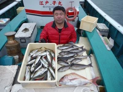 マダイ 1匹 の釣果 21年2月26日 江戸っ子丸 和歌山 美浜港 釣割